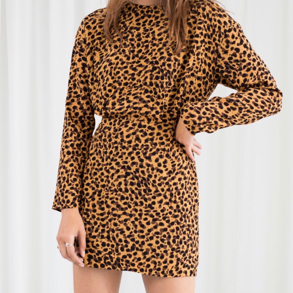 & Other Stories Leopard Print Dress